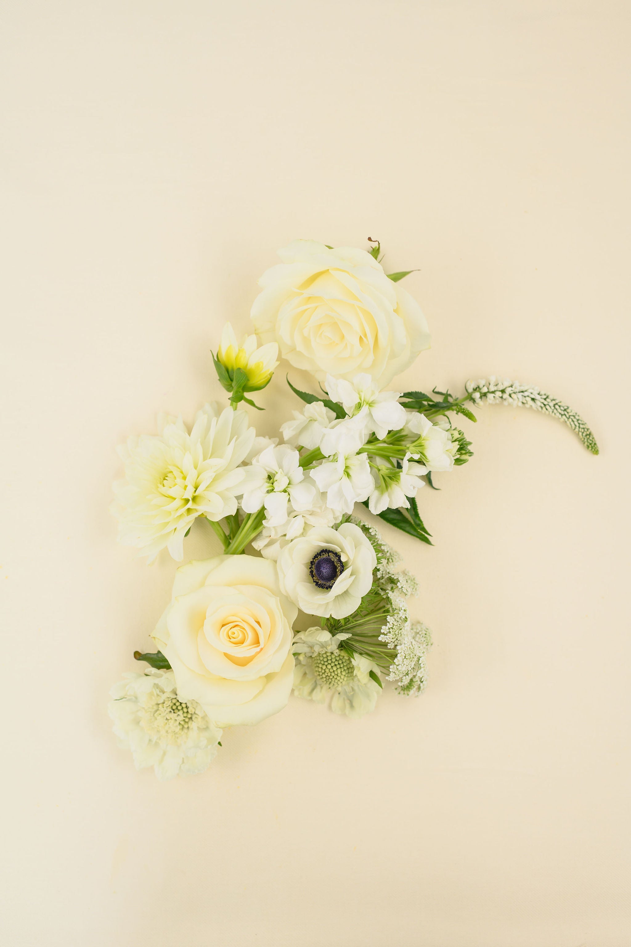 Boutonniere